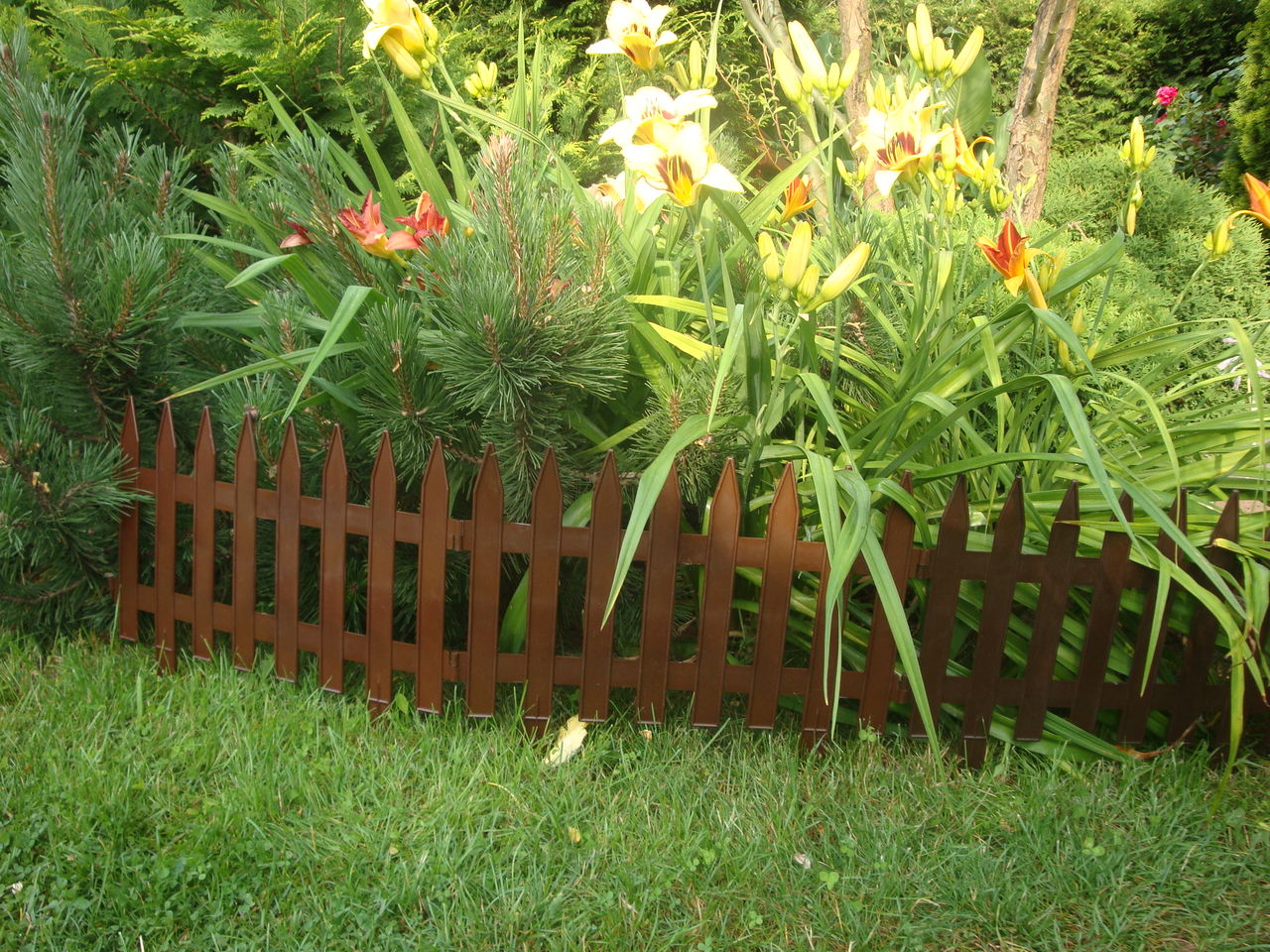 Осенняя клумба