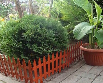 Зимняя клумба