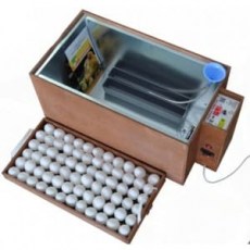 Домашний инкубатор для яиц