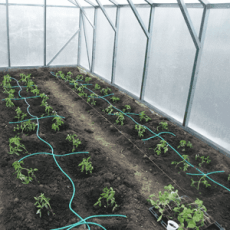 Капельный полив