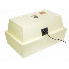 Мини инкубатор для яиц