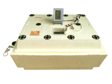 Инкубатор Золушка-2020 70 12В