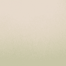 Шелкография