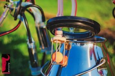 Доильный аппарат TJK1-PS Melasty 