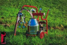 Доильный аппарат TJK1-PS Melasty 