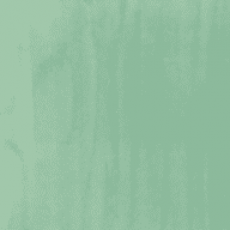 Береза зеленая