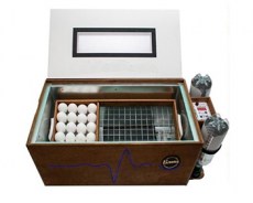 Блиц Байкал