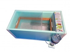 Инкубатор Матрица Дели