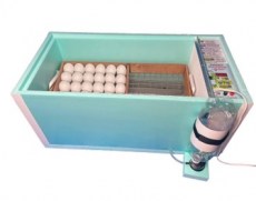 Инкубатор Матрица Дели