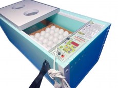 Блиц Матрица Вегас