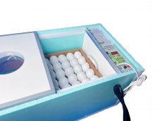 Блиц Матрица Вегас