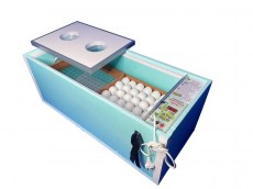 Блиц Матрица Вегас