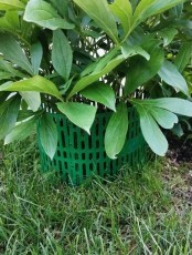 Декоративное ограждение