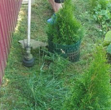 Декоративное ограждение