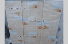 Экран дверка в туалет Гавань крупное фото