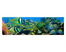 Экран под ванную 3 D Коралловый риф
