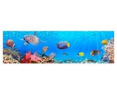 Экран под ванную 3 D Морское дно