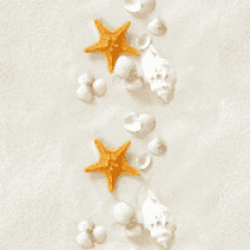 Цвет Побережье