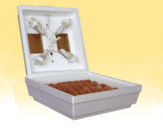 Инкубатор Квочка МИ 30 1