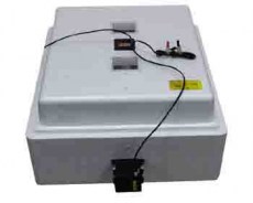 Несушка на 104 яйца цифра автомат с вентилятором 220 на 12В