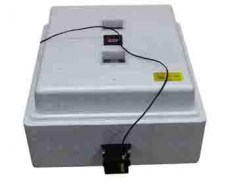 Инкубатор Несушка 104 яйца Цифров Автомат 220В