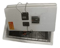 Инкубатор Несушка 220/12В автомат