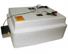 Инкубатор Несушка на 77 яйца 220/12В