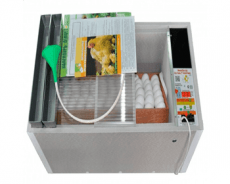 Инкубатор цифровой Блиц Норма