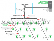 Автоматический полив