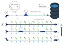 Система капельного полива