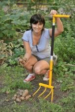 Картофелекопатель Торнадо в работе