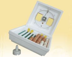 Инкубатор Квочка МИ 30 1Э