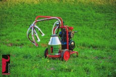 Доильный аппарат Melasty TК-1 PS с ресивером (сухого типа, силикон, Турция)