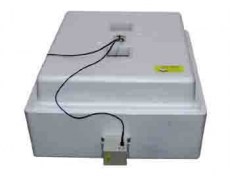 Несушка 104 яйца аналоговый автомат 220в фото2