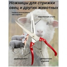 Ножницы для стрижки овец