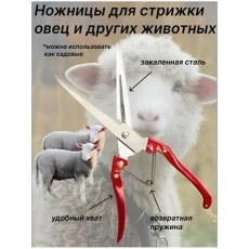 Ножницы для стрижки овец