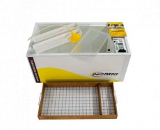 Инкубатор Норма