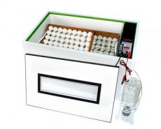 Норма Урал 200