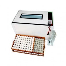 Норма Урал 200