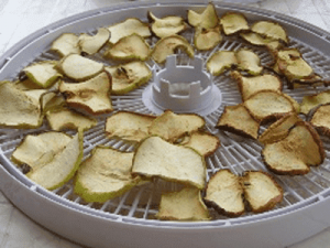 Сушилка овощей и фруктов БелОМО