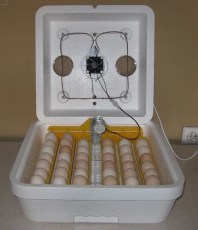 Инкубатор для яиц Веселое семейство 2