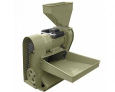 Зубрёнок Маис